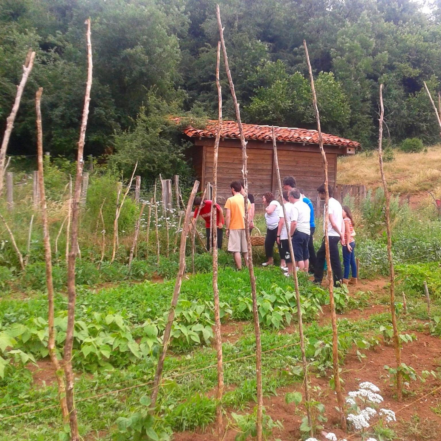 Agroturismo Mari Cruz Villanueva de Arce エクステリア 写真