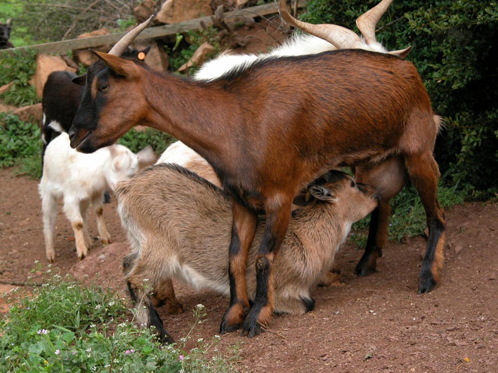 Agroturismo Mari Cruz Villanueva de Arce エクステリア 写真