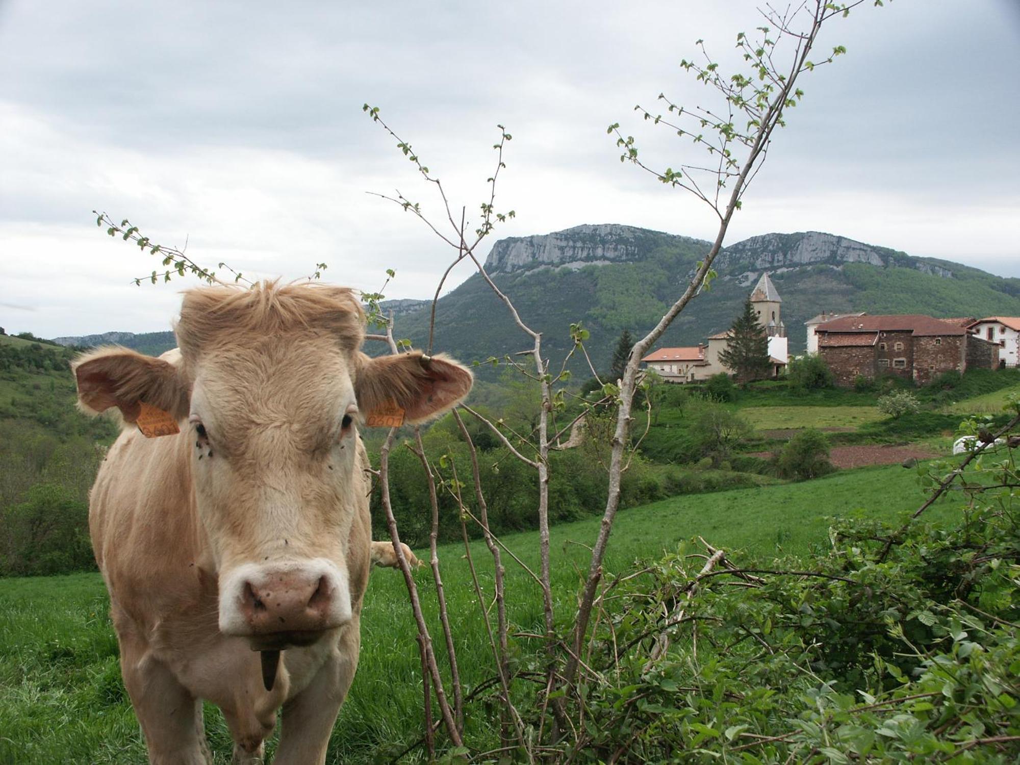 Agroturismo Mari Cruz Villanueva de Arce エクステリア 写真